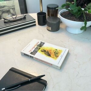 Vintage Book “The Ambassador” Morris West Home Accent VTG Fiction